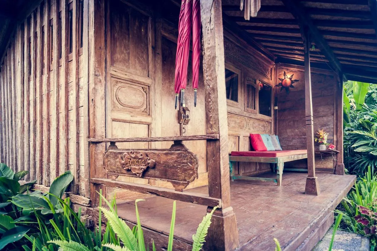 *** Holiday park Dragonfly Village Ubud  Indonesia