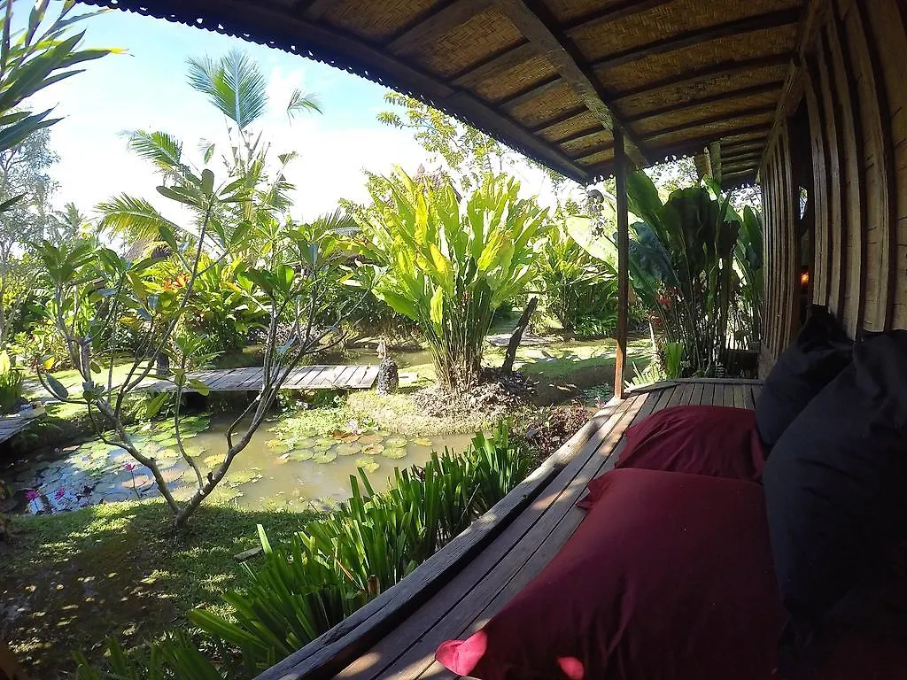 *** Holiday park Dragonfly Village Ubud  Indonesia
