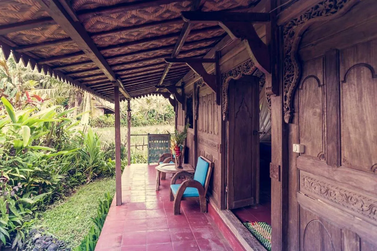 פארק נופש אובוד Dragonfly Village