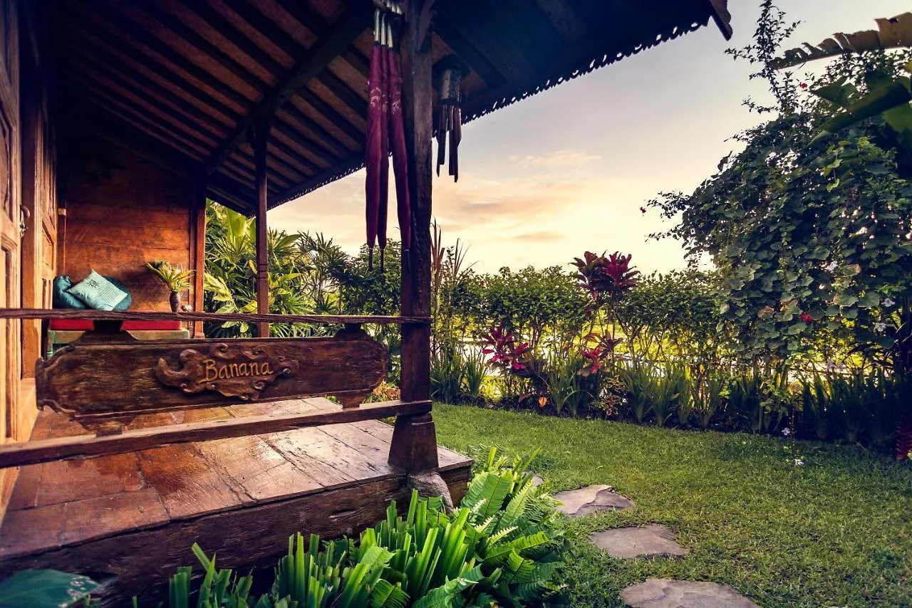 Dragonfly Village Ubud  3*, Ubud (Bali)