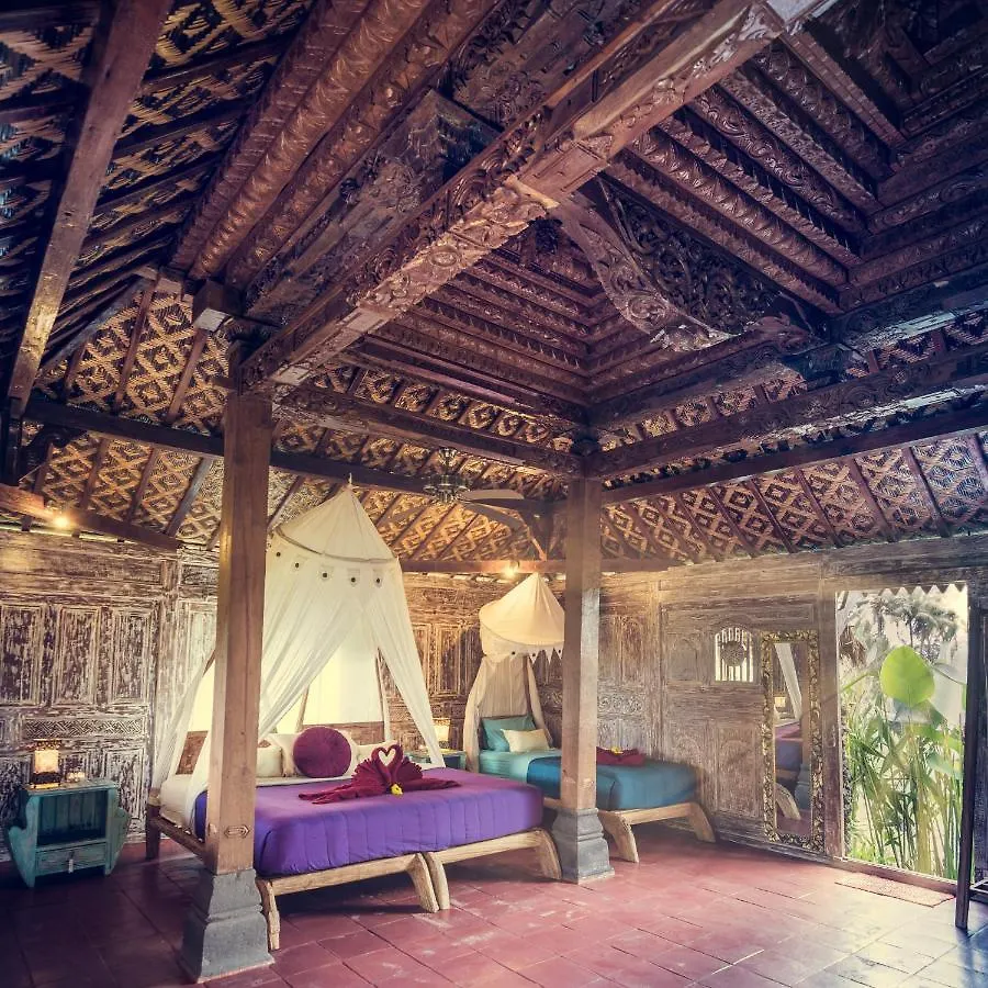 Dragonfly Village Ubud  Ubud (Bali)