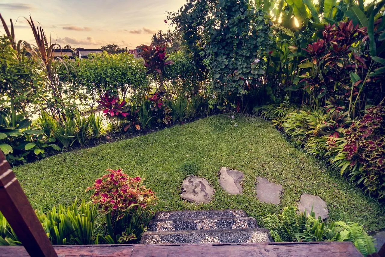 Holiday park Dragonfly Village Ubud