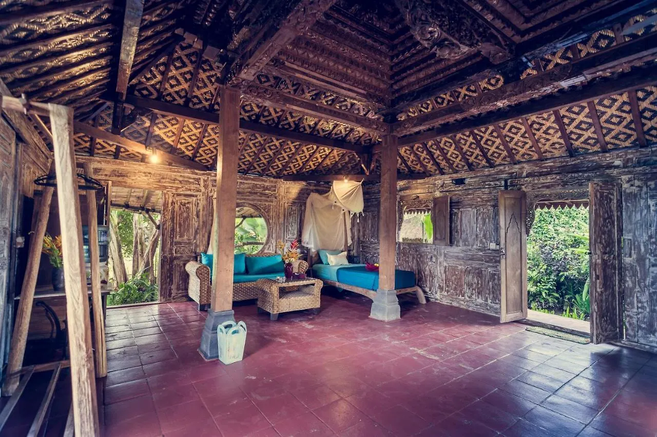 Dragonfly Village Ubud  Holiday park Ubud (Bali)