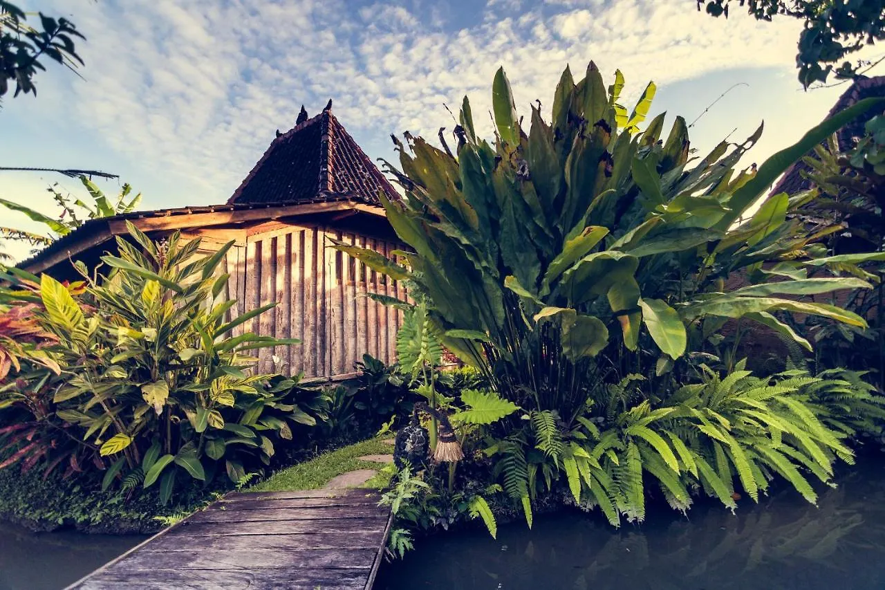 Dragonfly Village Ubud  Ubud (Bali)