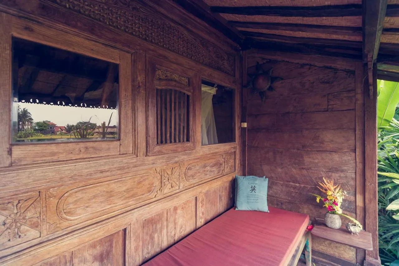 Dragonfly Village Ubud