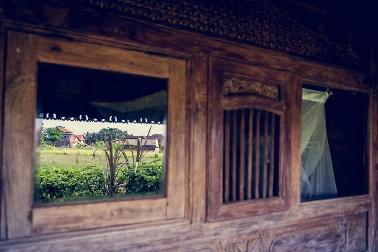 Holiday park Dragonfly Village Ubud