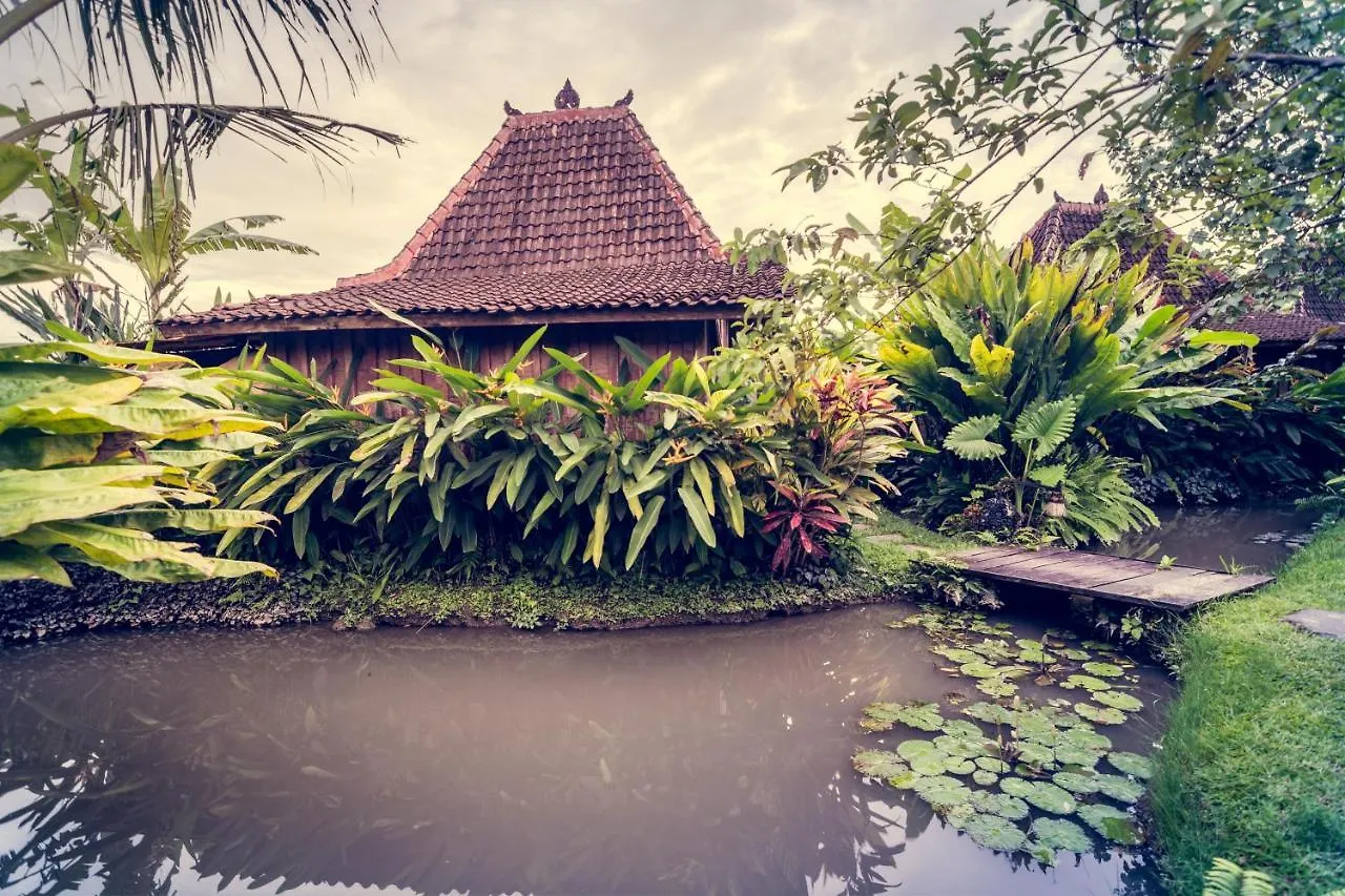 Dragonfly Village Ubud  Indonesia
