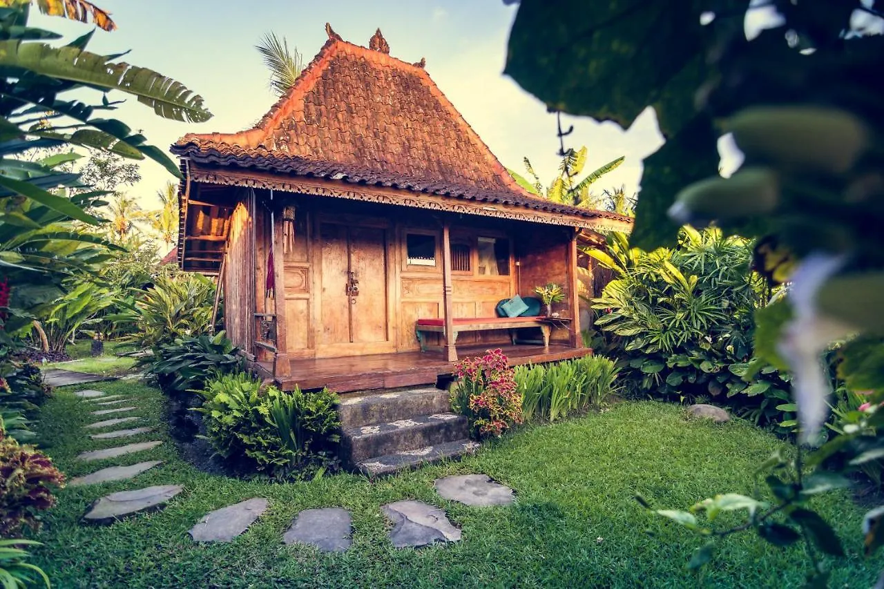 Dragonfly Village Ubud  3*, Ubud (Bali) Indonesia