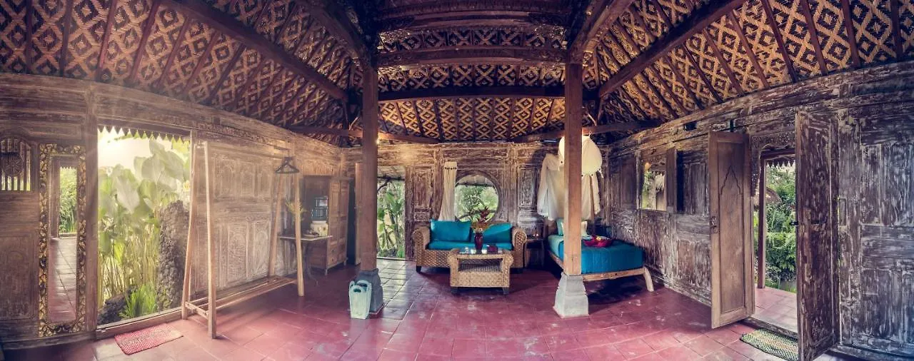 Holiday park Dragonfly Village Ubud