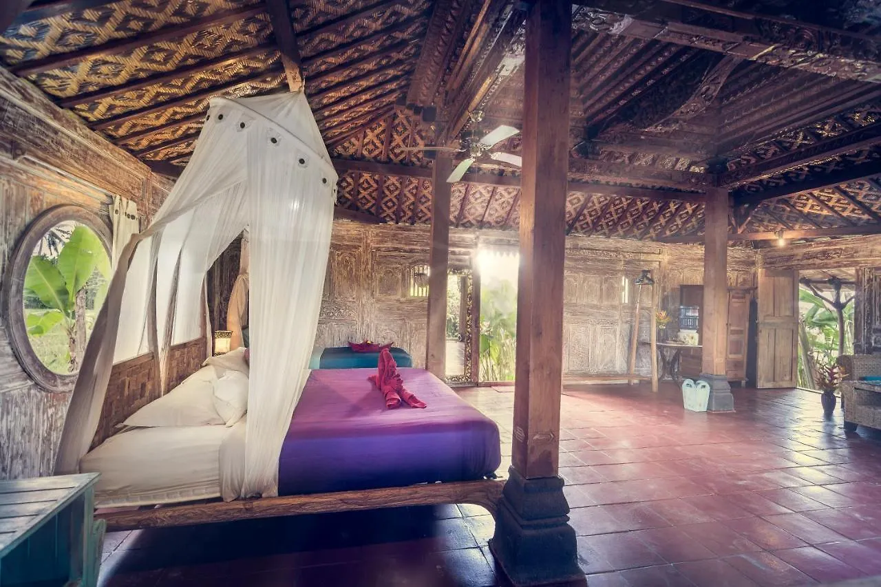 *** Holiday park Dragonfly Village Ubud  Indonesia