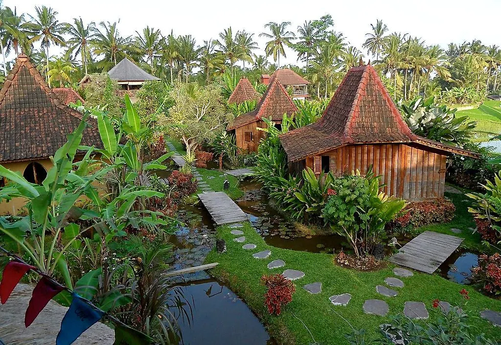 *** פארק נופש אובוד Dragonfly Village אינדונזיה