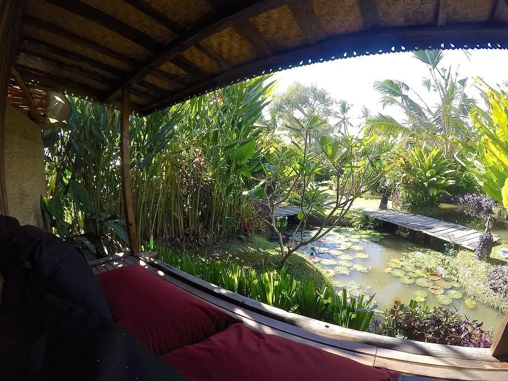 Dragonfly Village Ubud  3*, Ubud (Bali)