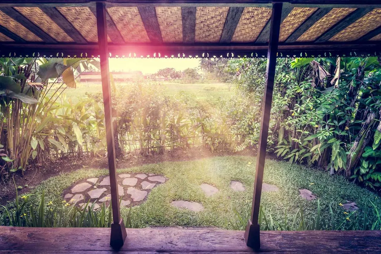 אובוד Dragonfly Village אינדונזיה